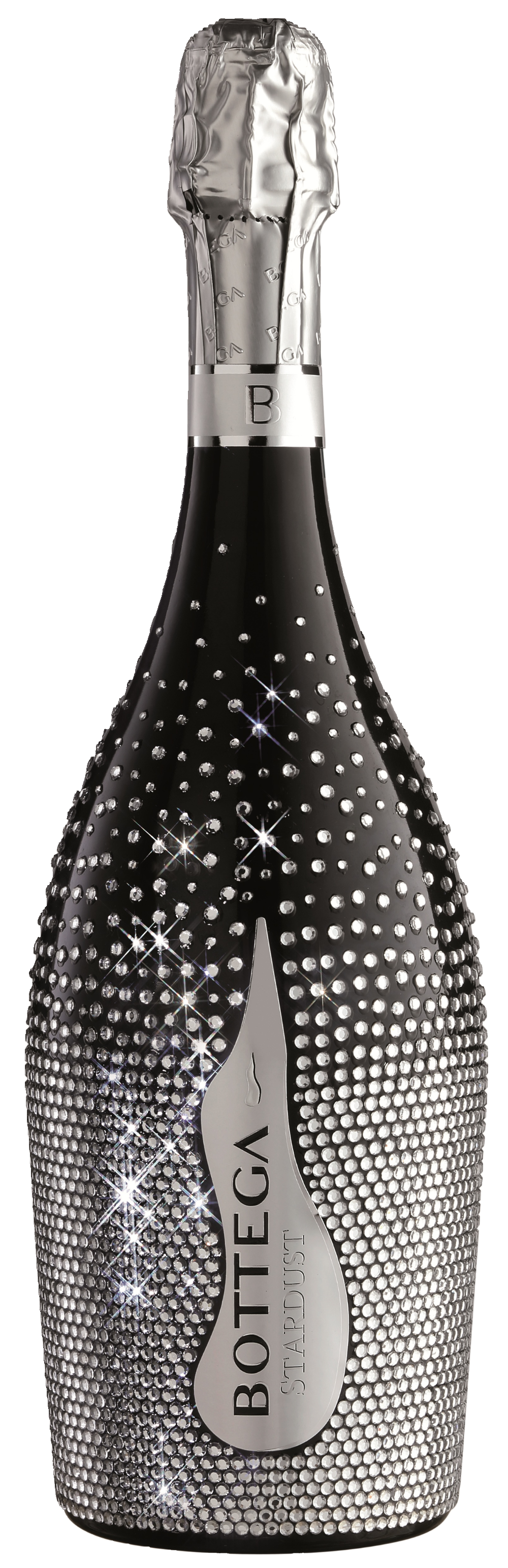 보테가 스타더스트