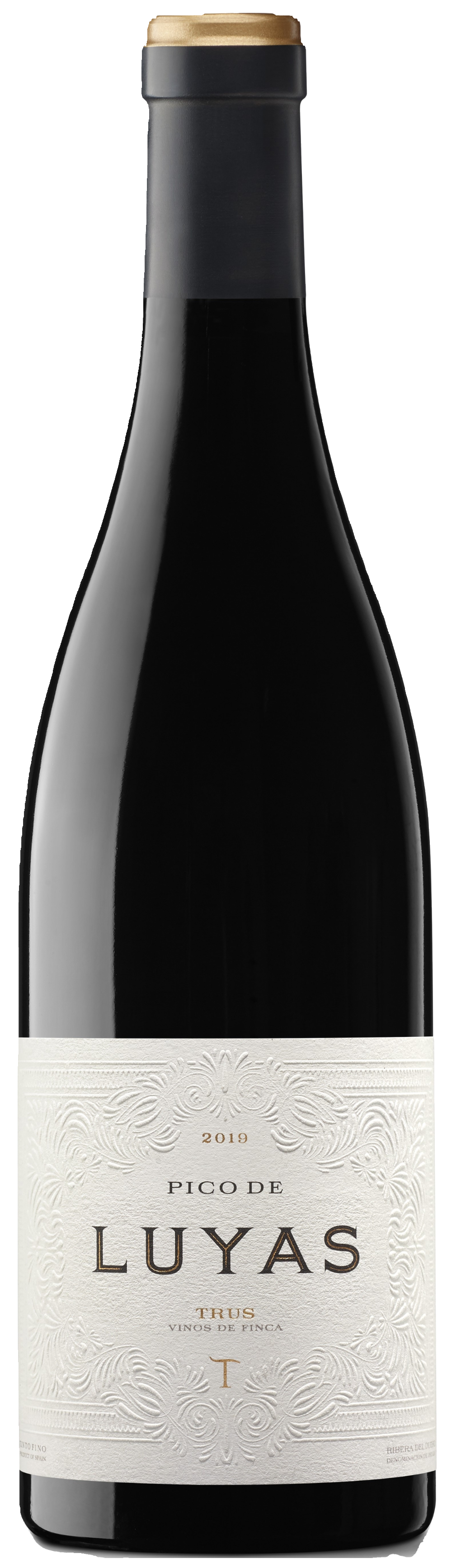 트러스 피코 데 루야스 2019