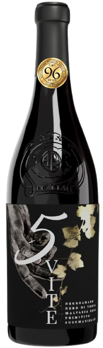 파이브 바이트 2021