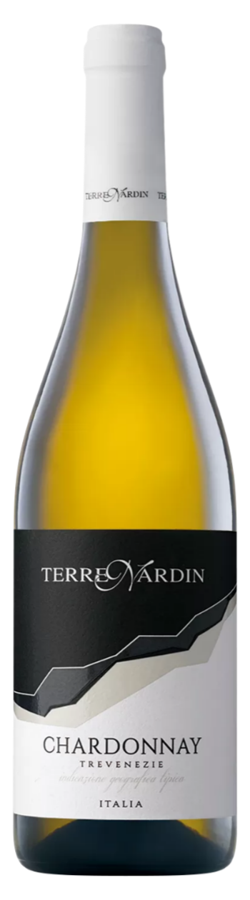 샤도네이 트레베네지에 IGT 2024