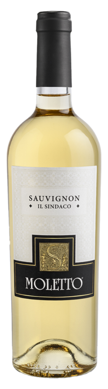 소비뇽 – 일 신다코 IGT 2021