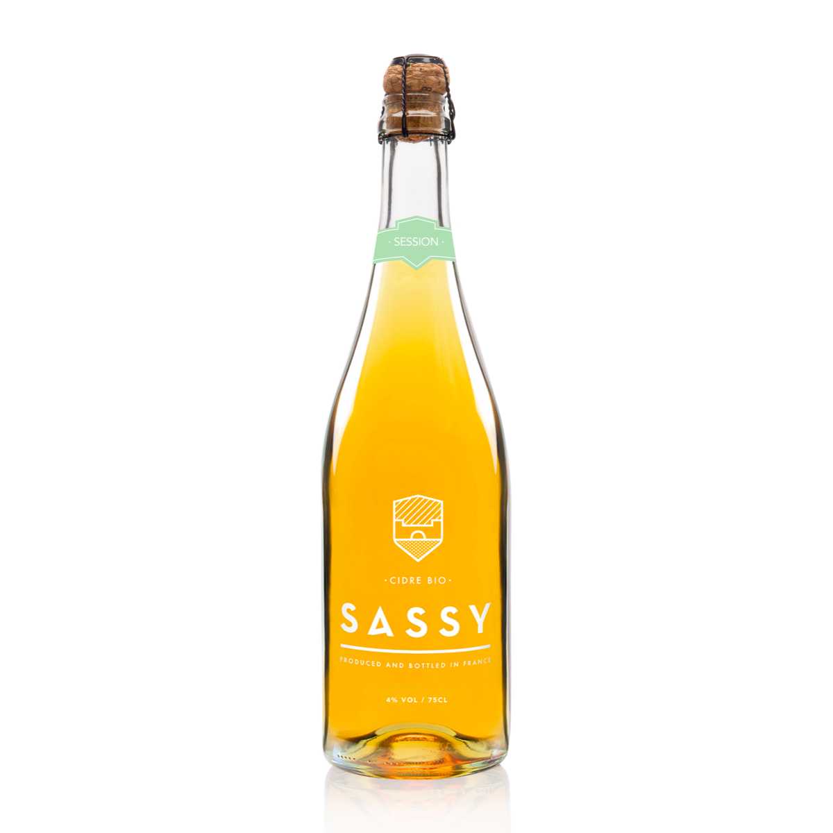 쎄시 시드르 바이오 세션