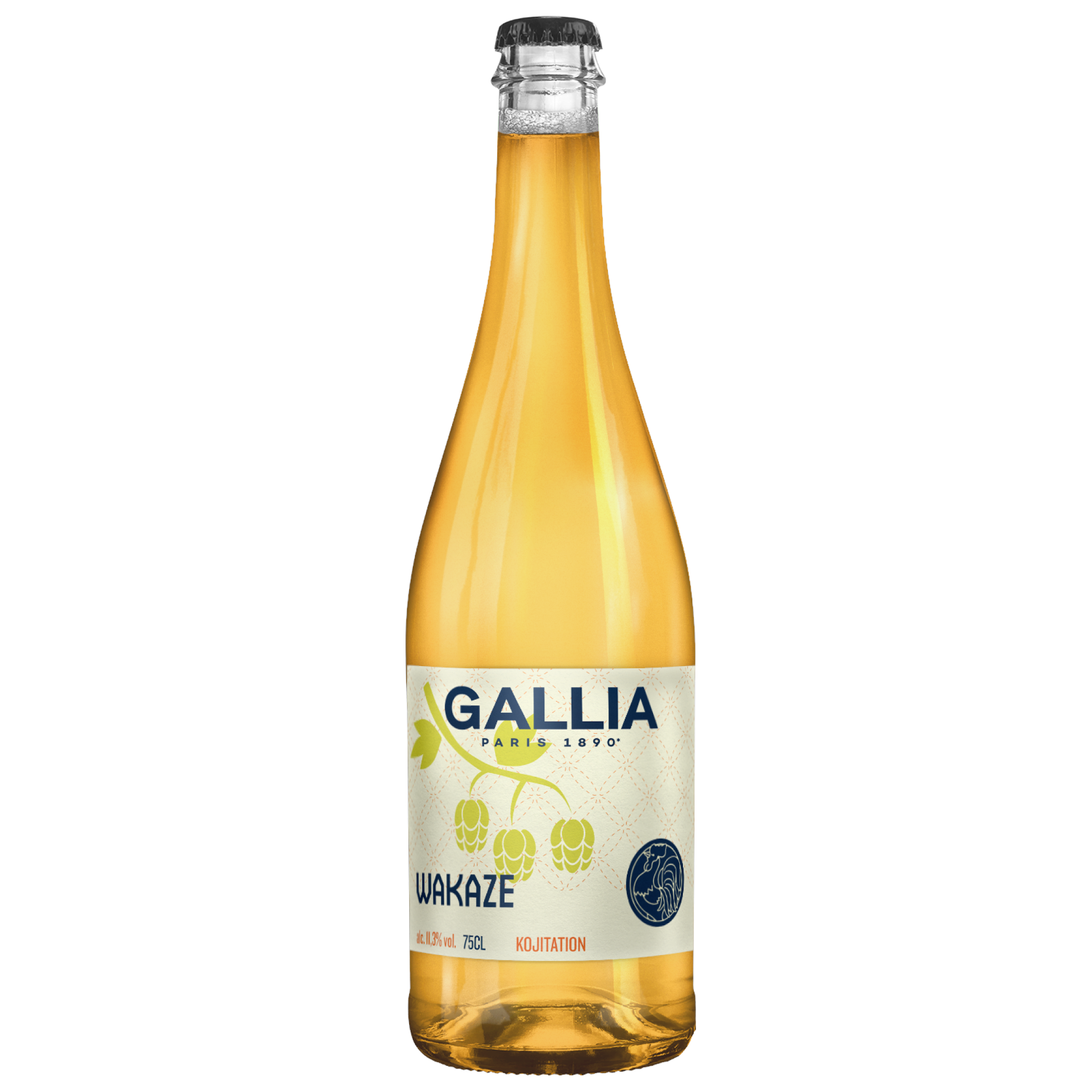 갈리아 코지테이션