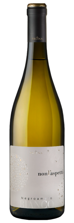 논 타스페티 2024