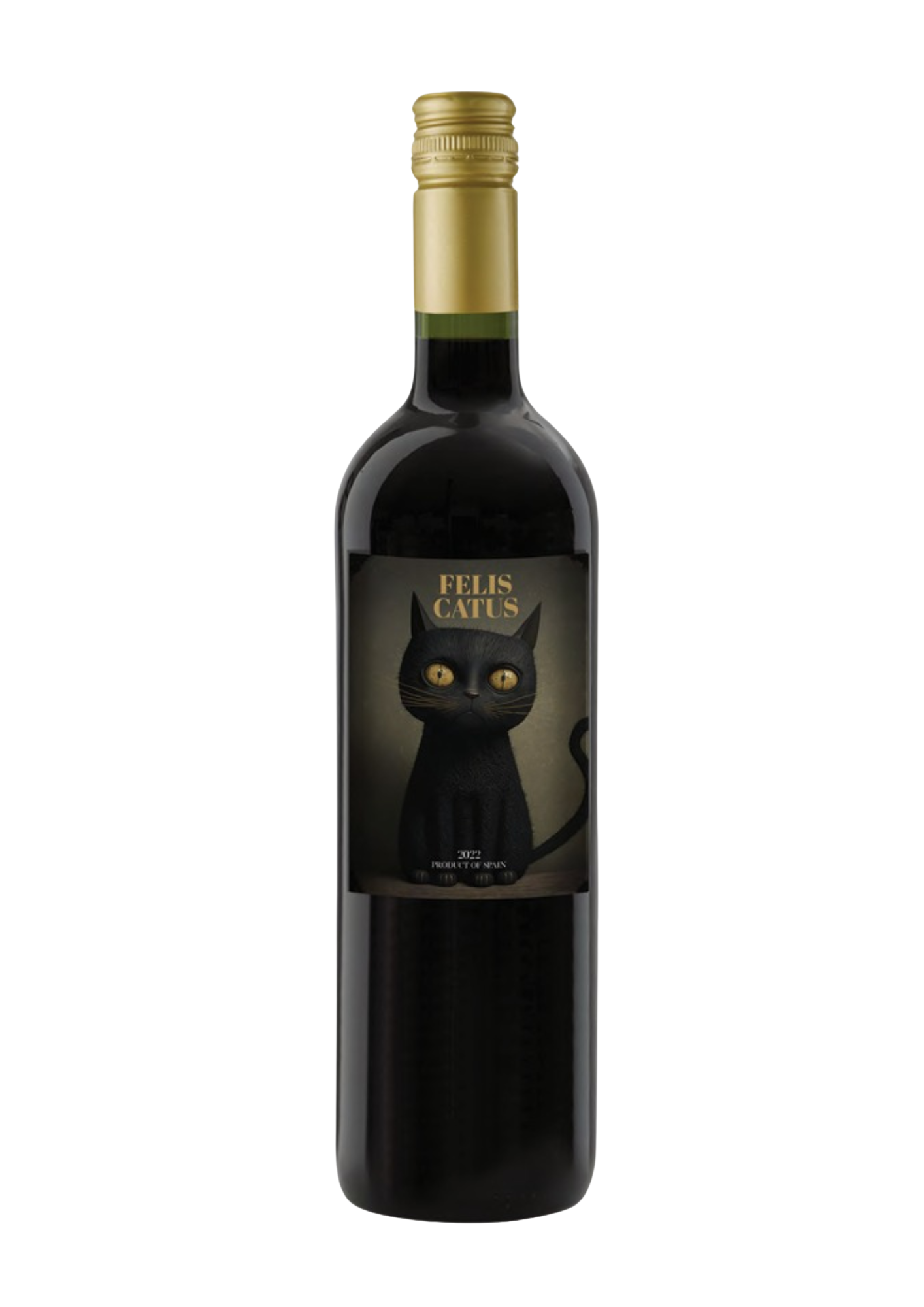 까스따뇨, 펠리스 카투스 2023