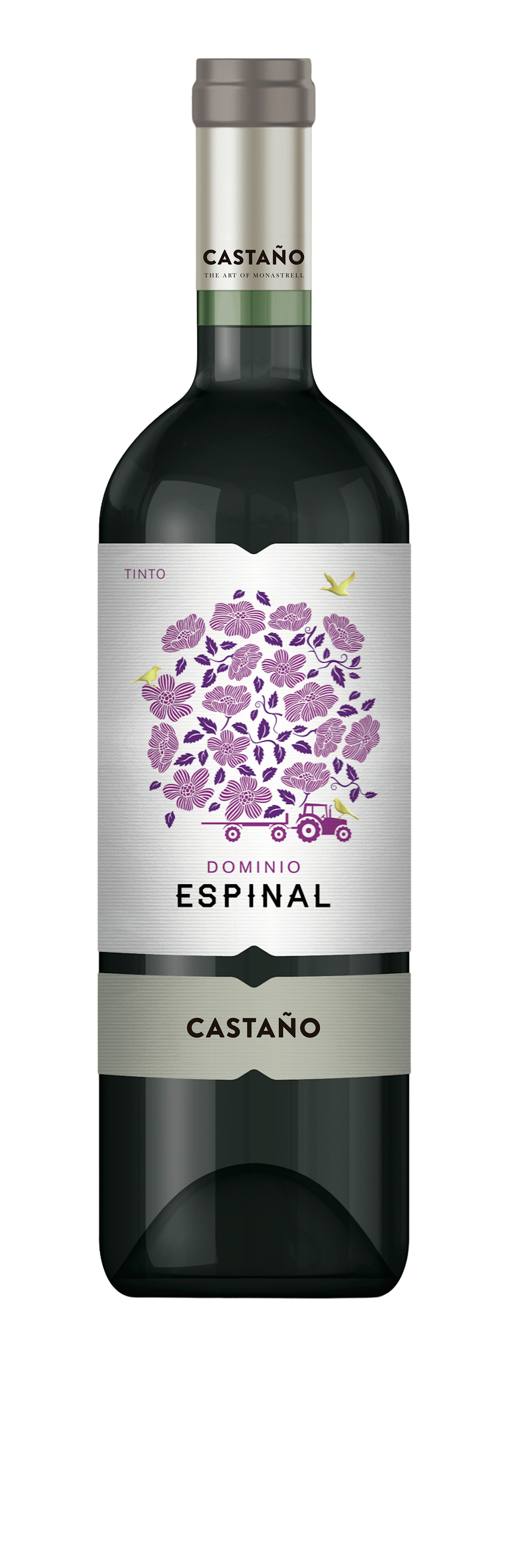 까스따뇨, 도미니오 에스피냘 레드 2024