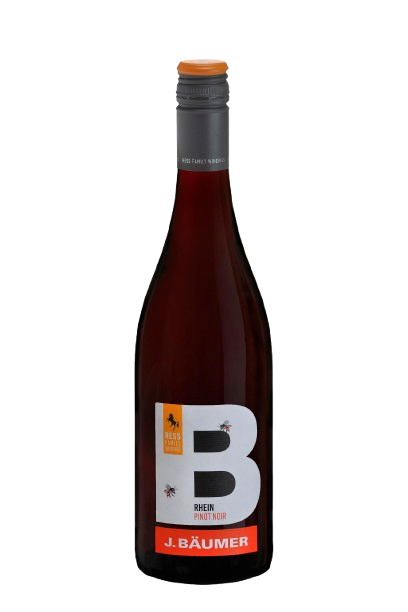 제이 보이머 라인헤센 피노누아 2021