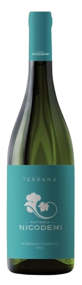 테라나 트레비아노 다부르조 2024