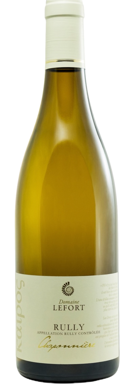 다비드 르포르 륄리 블랑 샤포니에르 2023