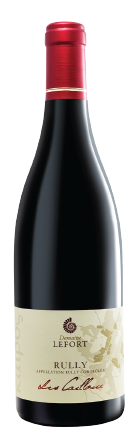 다비드 르포르 륄리 루즈 레 까이유 2023