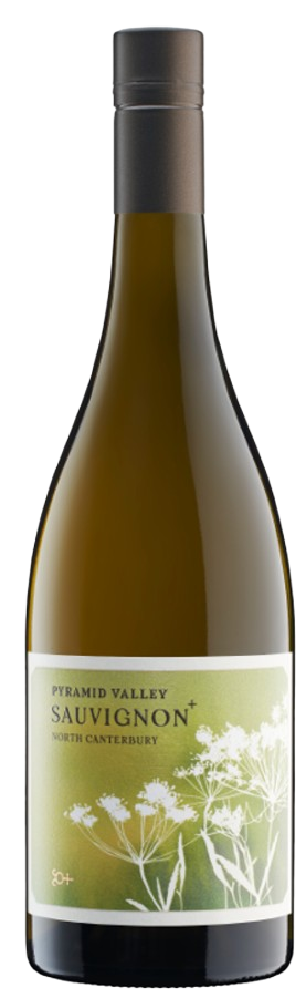 스미스 앤 셰스, 피라미드 밸리 소비뇽 블랑 2023