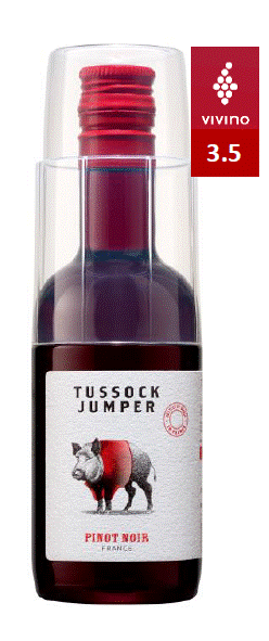 투썩 점퍼 피노 누아