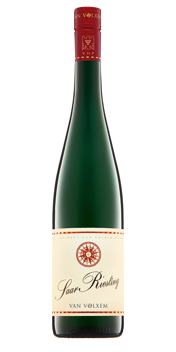 [루프트한자 비즈니스 클래스] 반 폭셈, 자르 리슬링 2024