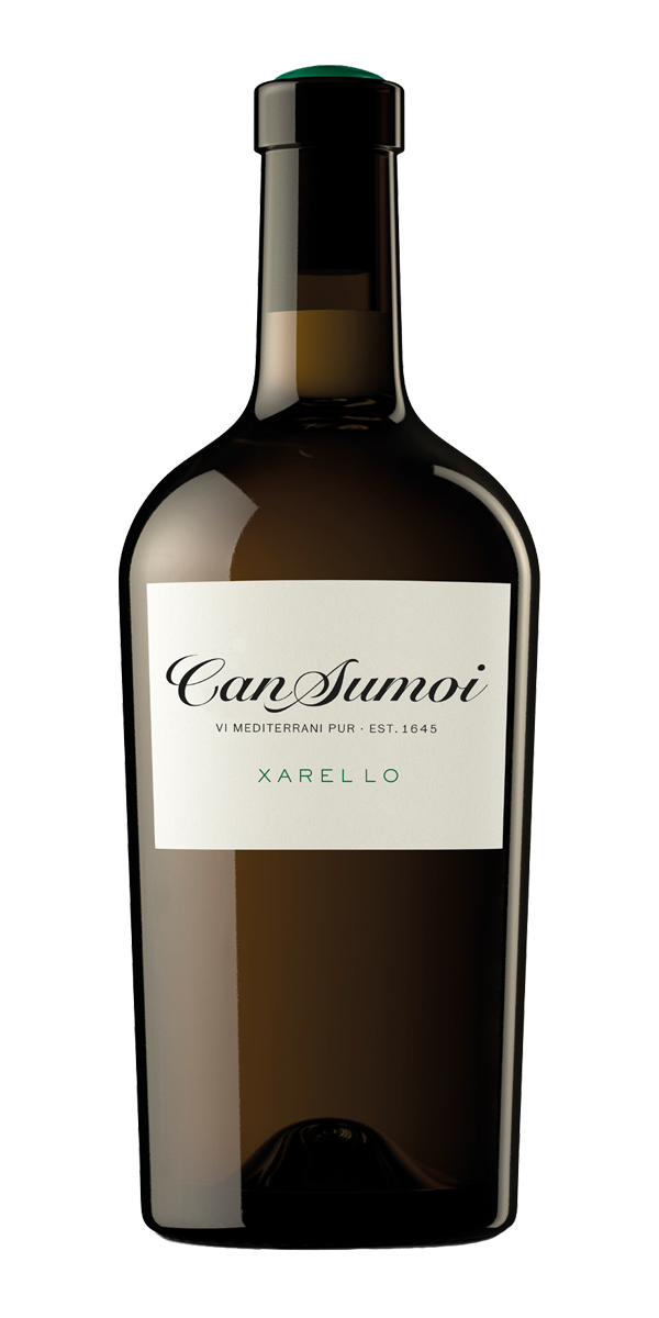 칸 수모이, 샤렐로 2024