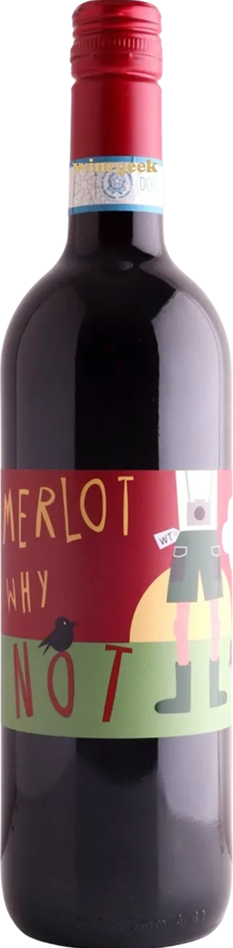 마솟 메를로 2022