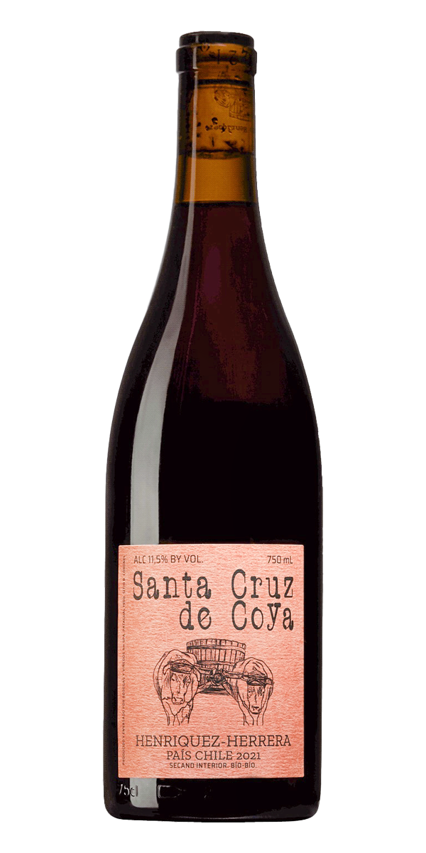 로베르토 엔리께스, 산타 크루즈 데 꼬야 2021