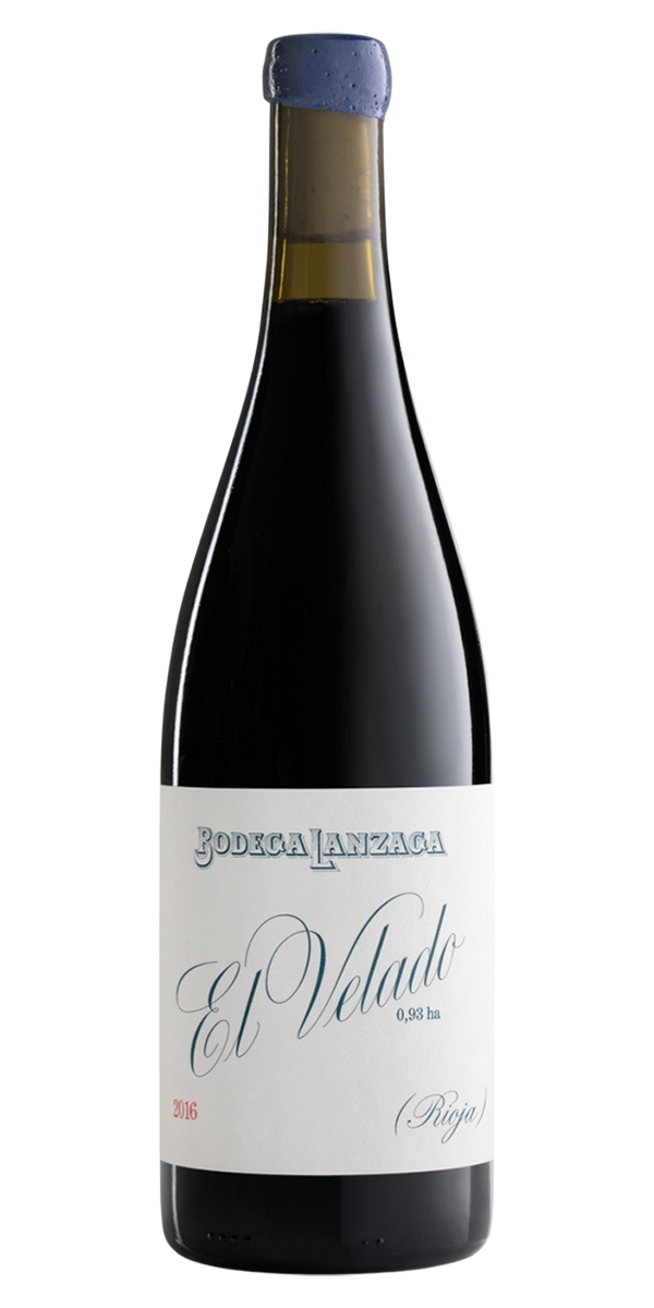 보데가 란자가, 엘 벨라도 2017