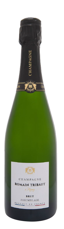 로맹 트리보 아상블라주 브뤼