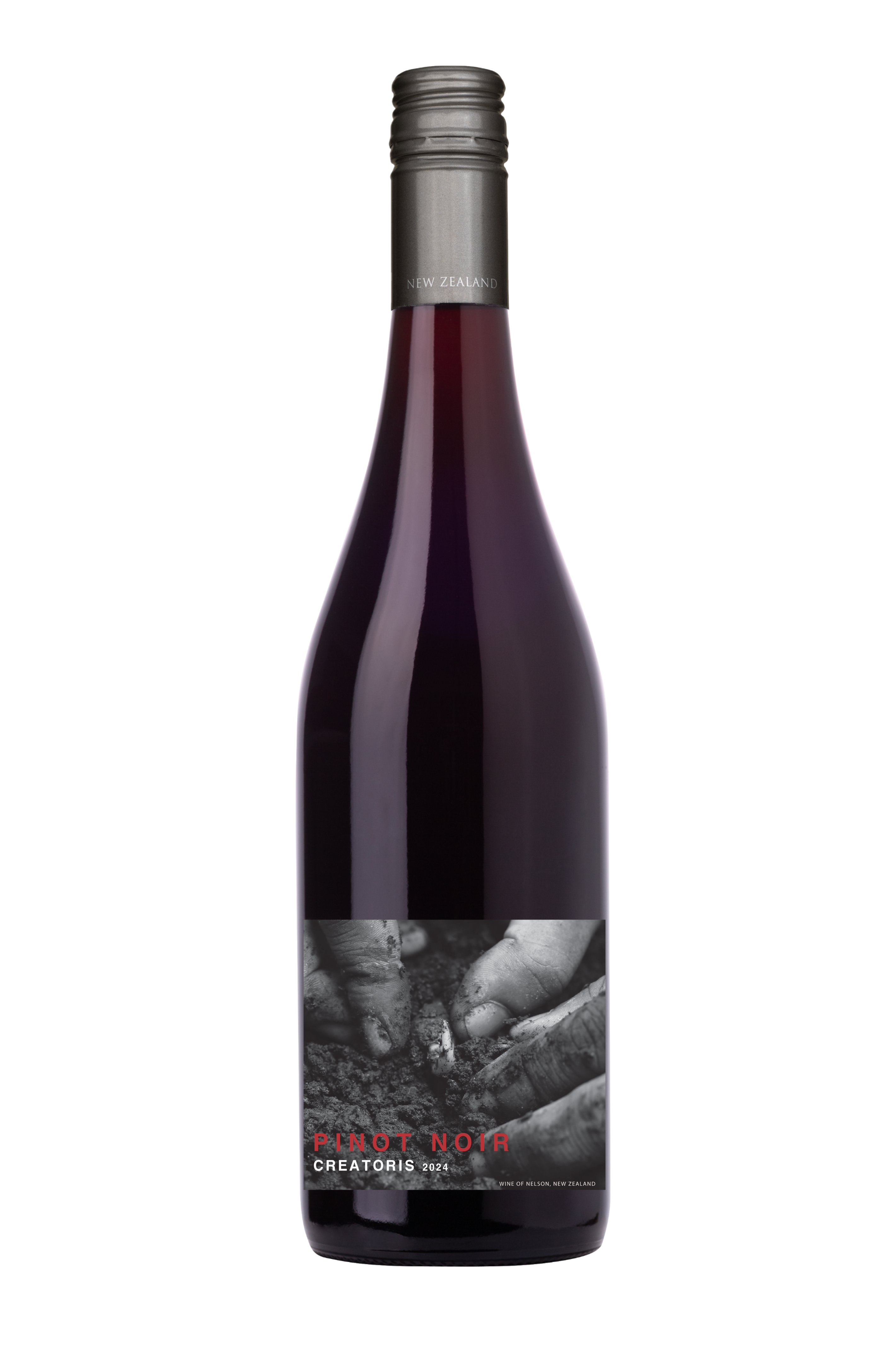 크레아토리스 피노누아 2024