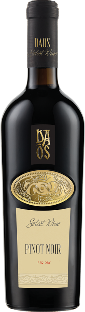 다오스 피노누아 2023