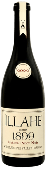 일라헤, 프로젝트 1899 피노누아 2022