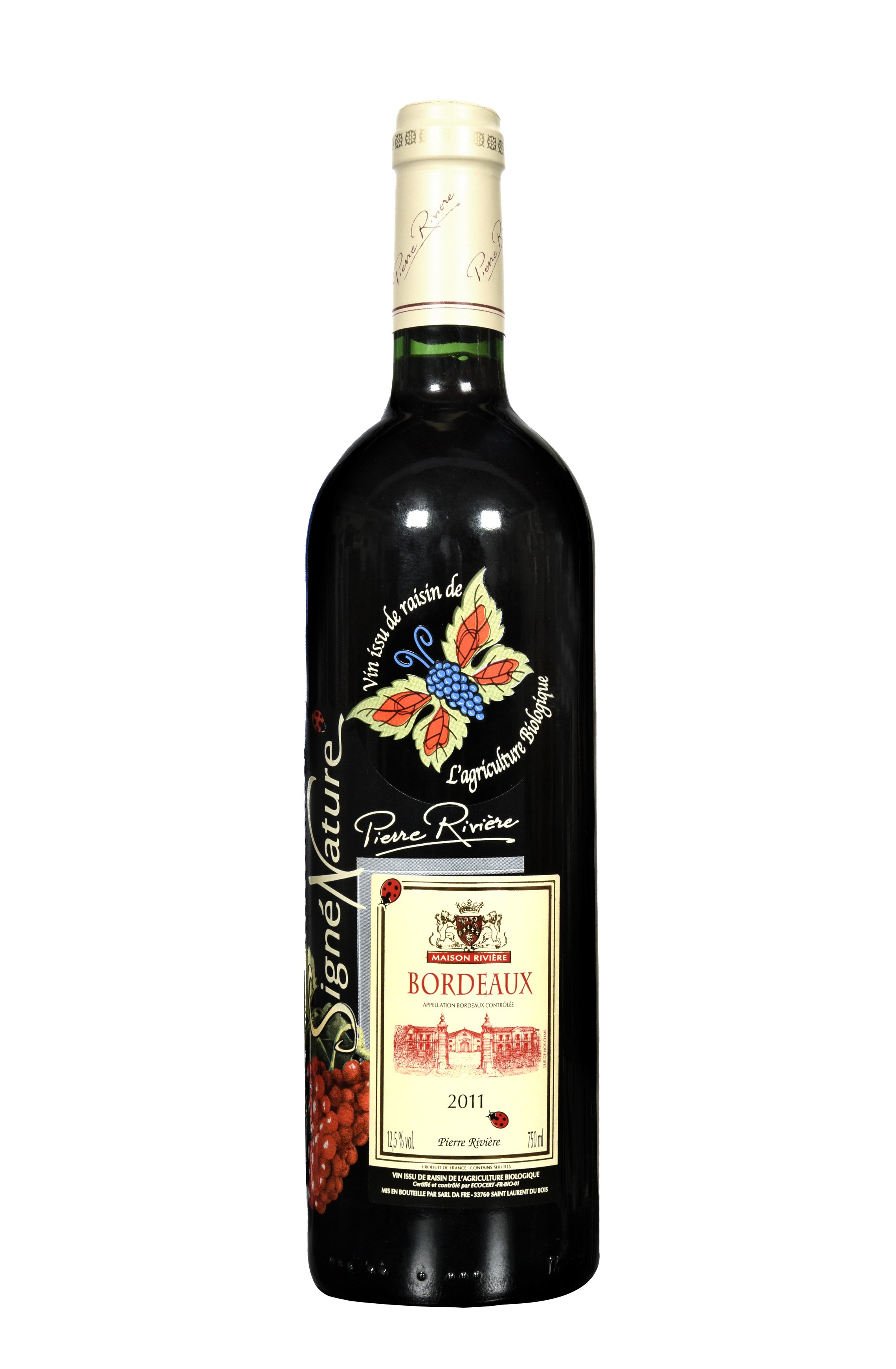 씨네 나뛰르 루즈 2019