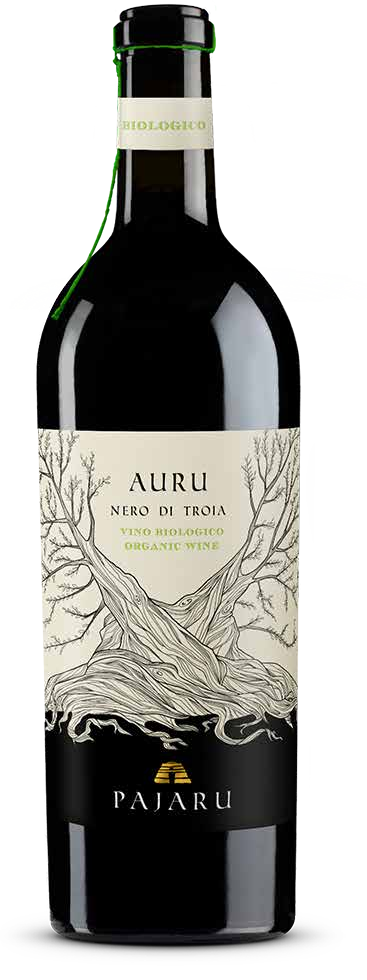 아우루, 네로 디 트로이아 2023