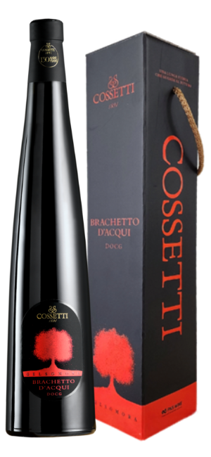 [4/20 단가 인상] 젤소모라 브라케토 다뀌 (케이스 포함) 2024