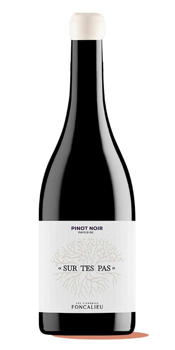 퐁깔리유, 쉬흐 데 빠 피노누아 2024