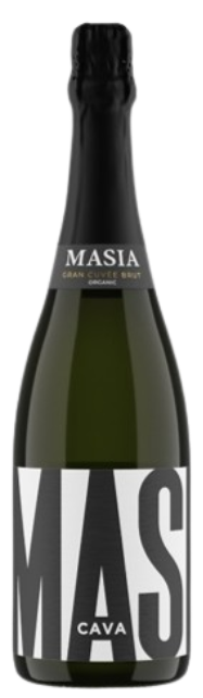 마시아 그랑 꾸베 브룻