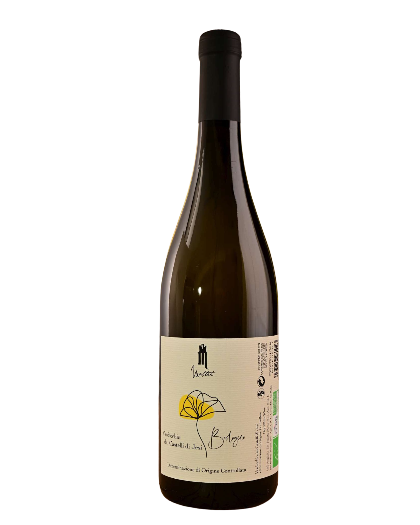 테누타 마테이, 베르디끼오