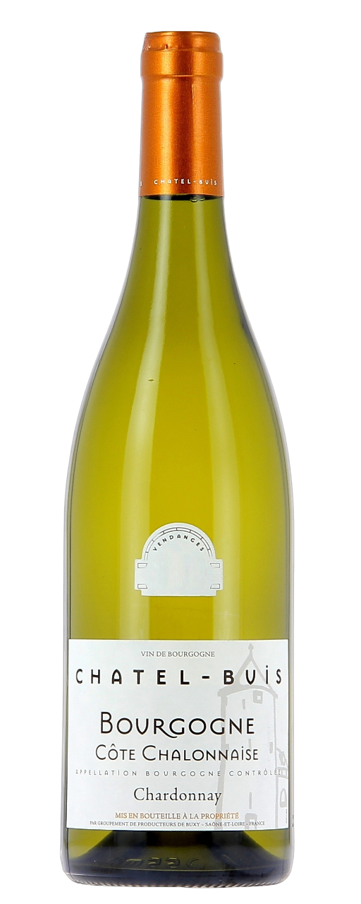 부르고뉴 꼬뜨 샬로네즈 샤르도네 샤텔뷔 2023