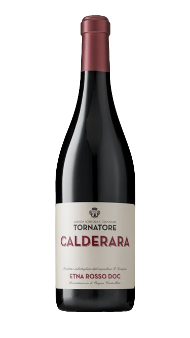 토르나토레 칼데라라 2019