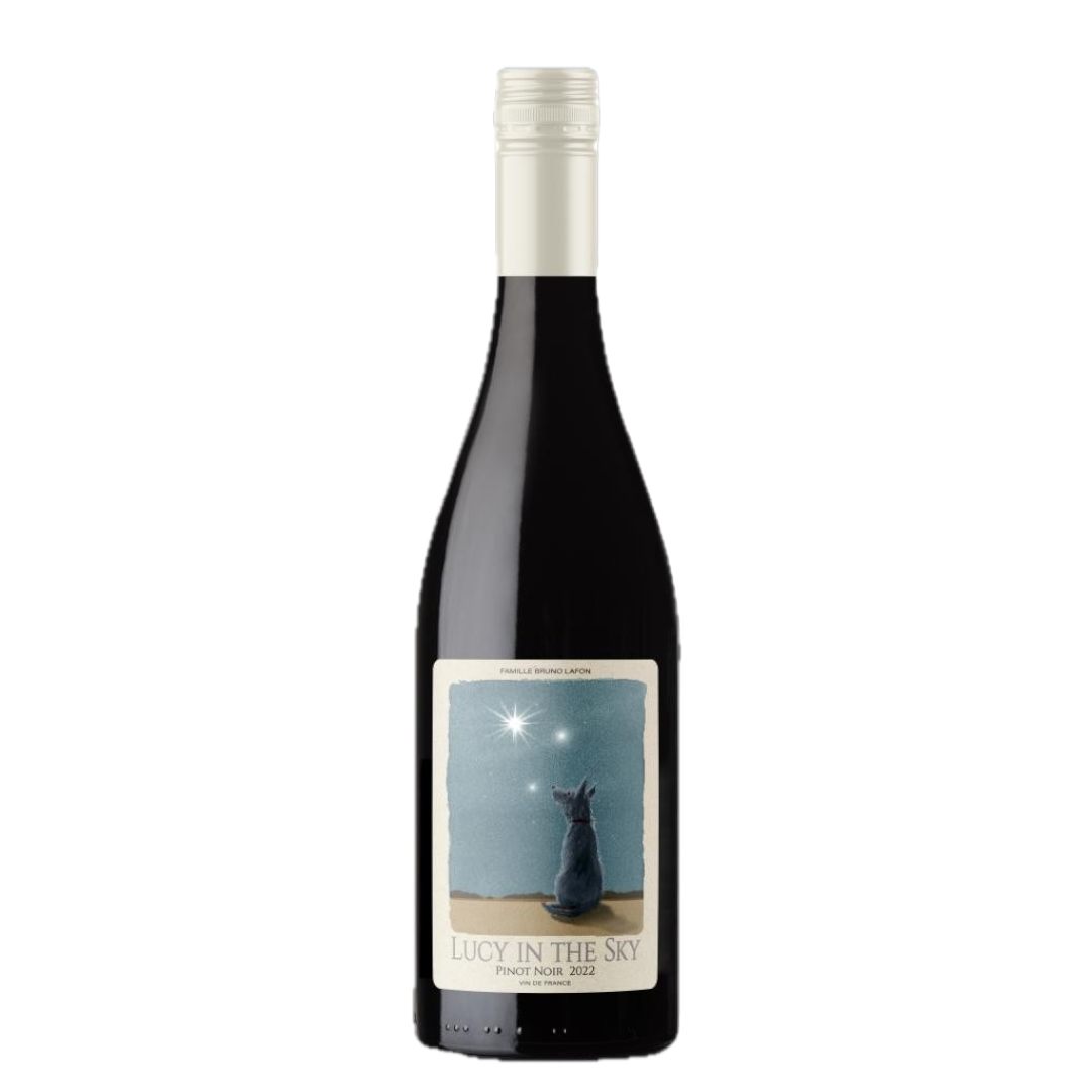 루시 인 더 스카이 피노누아 2024