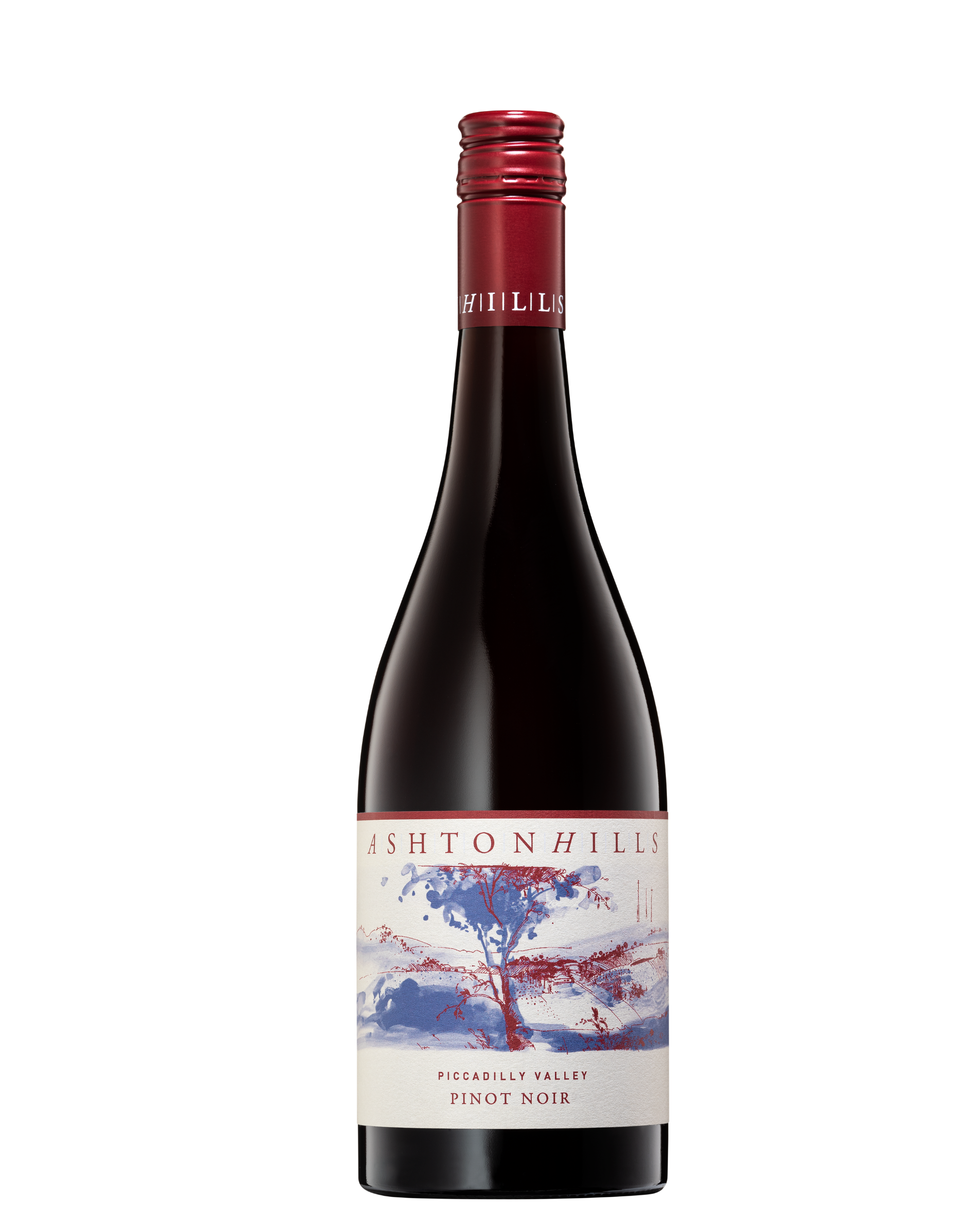 애쉬톤 힐스, 피카딜리 밸리 피노 누아 2023
