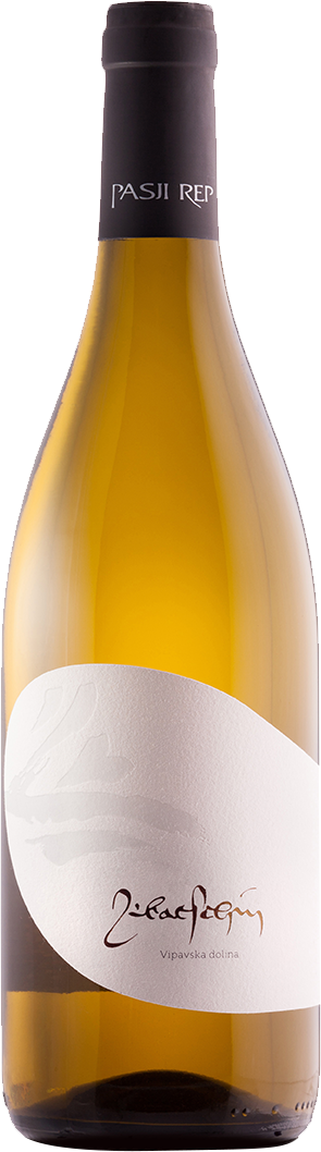 파시 렙 예바친 2018