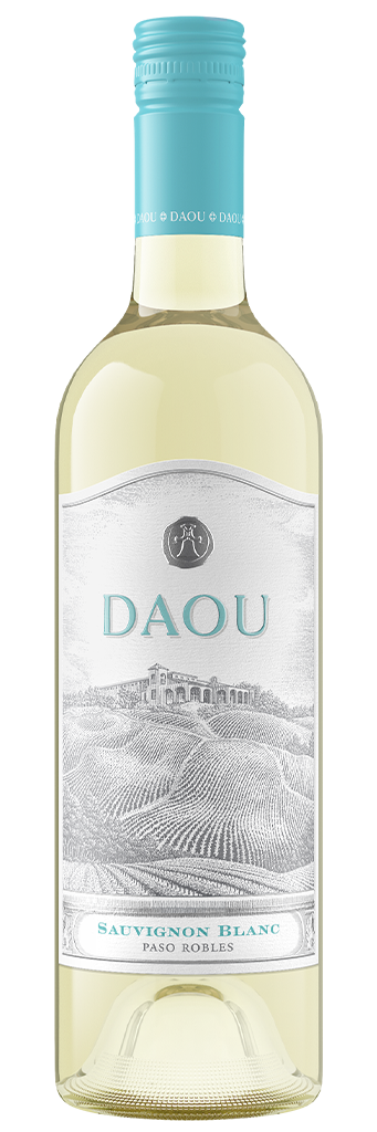 다우 빈야드, 소비뇽 블랑 2024